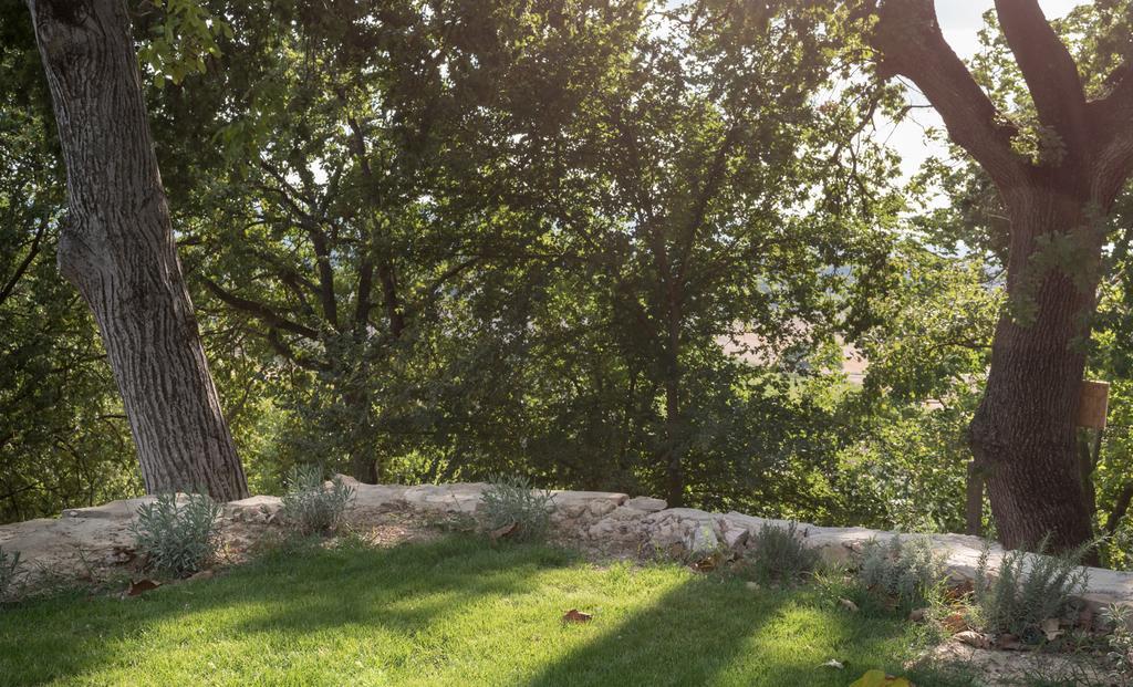 B&B Cantico Delle Creature Assisi Kültér fotó