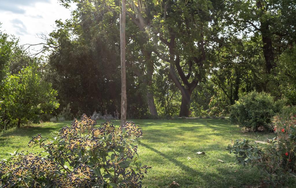 B&B Cantico Delle Creature Assisi Kültér fotó
