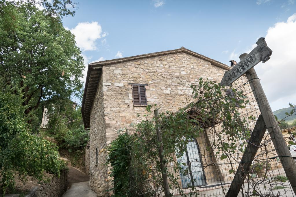 B&B Cantico Delle Creature Assisi Kültér fotó
