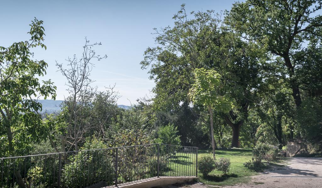B&B Cantico Delle Creature Assisi Kültér fotó
