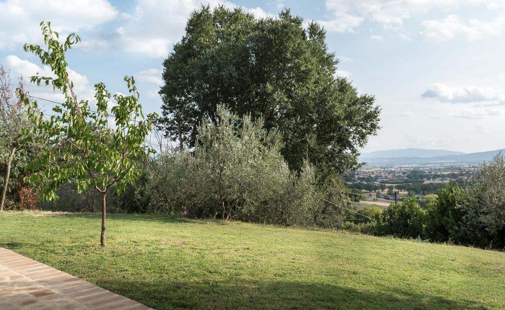 B&B Cantico Delle Creature Assisi Kültér fotó